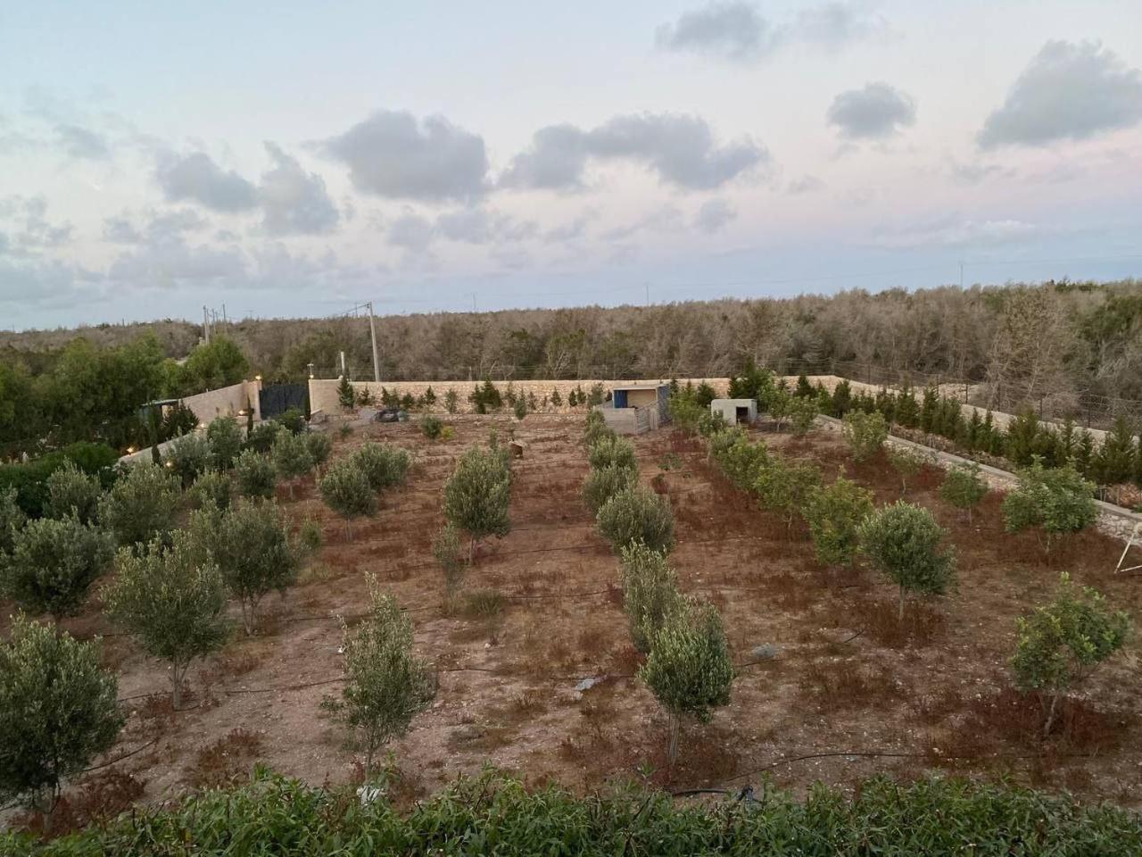 Villa Laarich As-Sawíra Exteriér fotografie